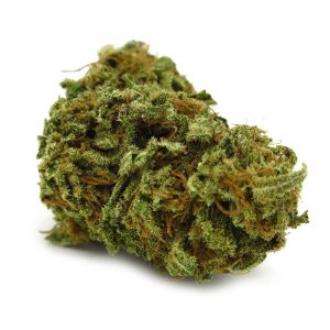 Banana marijuana strain