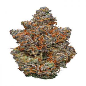 Gelato Marijuana strain