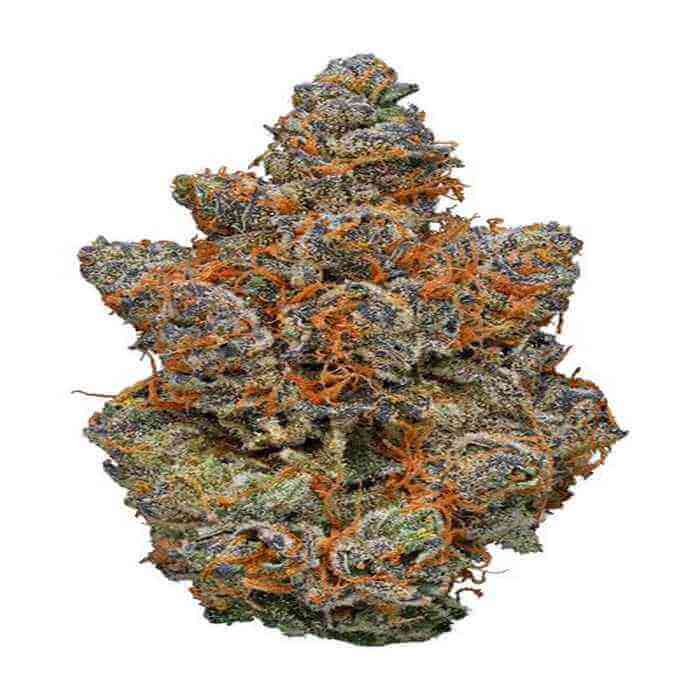 Gelato-Cannabis-Strain Gelato Marijuana strain