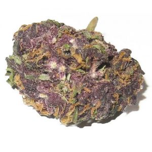 Granddaddy Purple Kush Strain