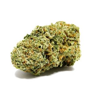 platinum girl scout cookies cannabis strain