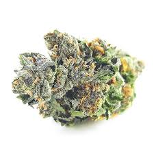 Purple Diesel Marijuana