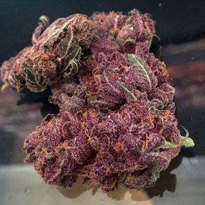 purple marijuana strain