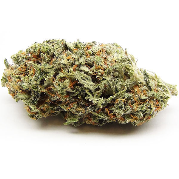Trainwreck Marijuana Trainwreck cannabis strain