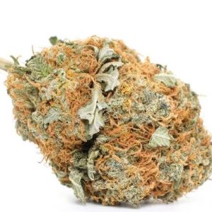 Strawberry Cough cannabis